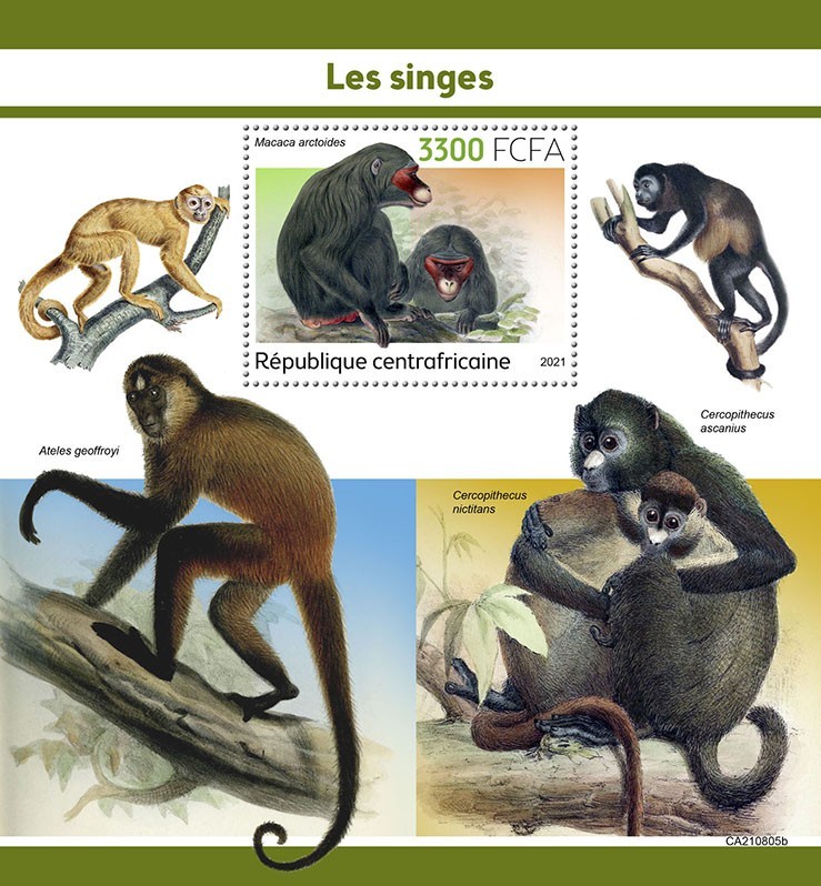 Monkeys