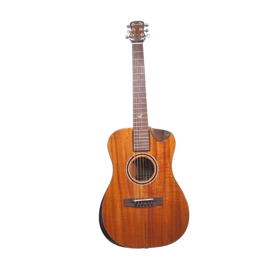Overhead+ Solid Acacia Koa – OF882C