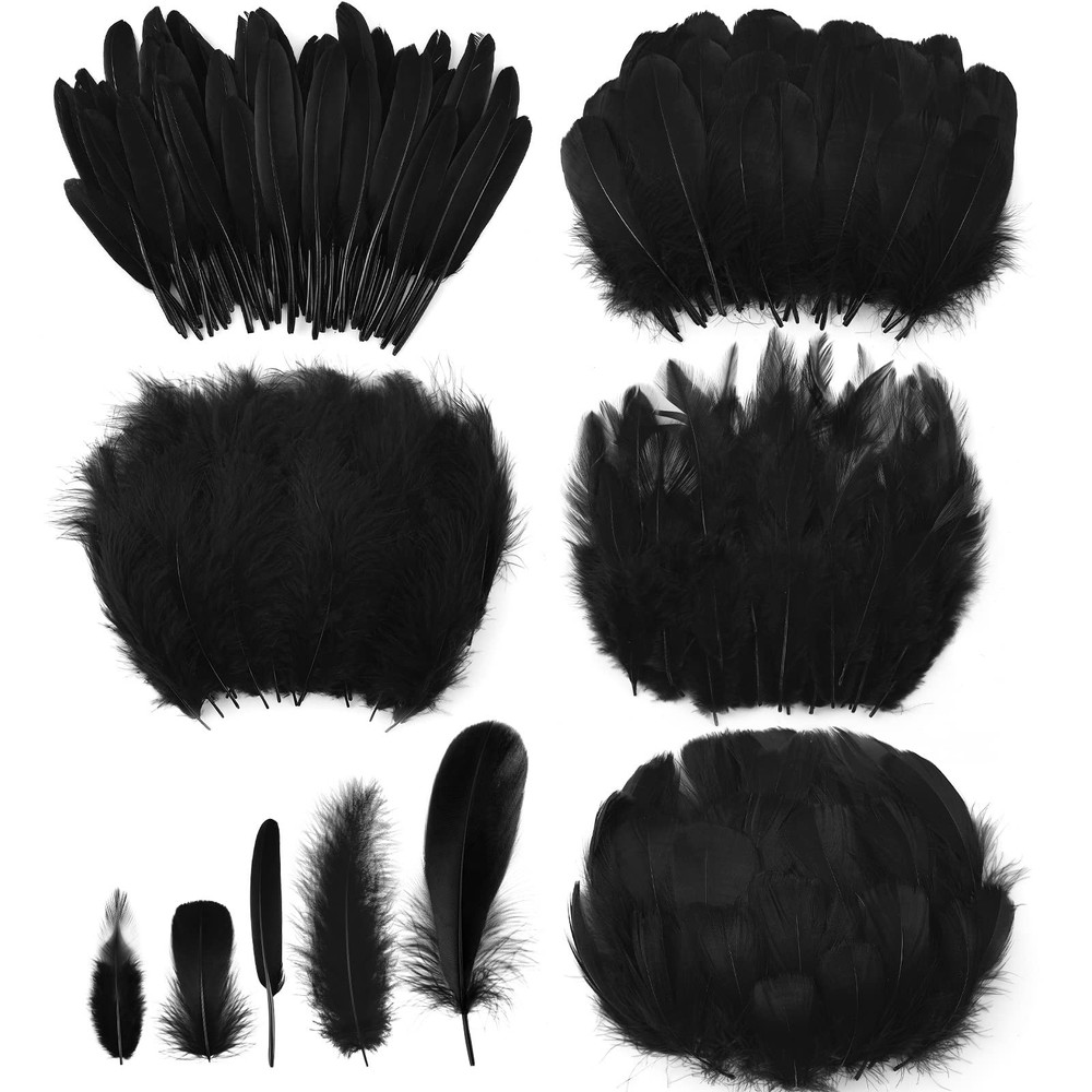 500 Pcs Black Feathers for Crafts Assorted 5 Styles Mixed Black Craft Feather...