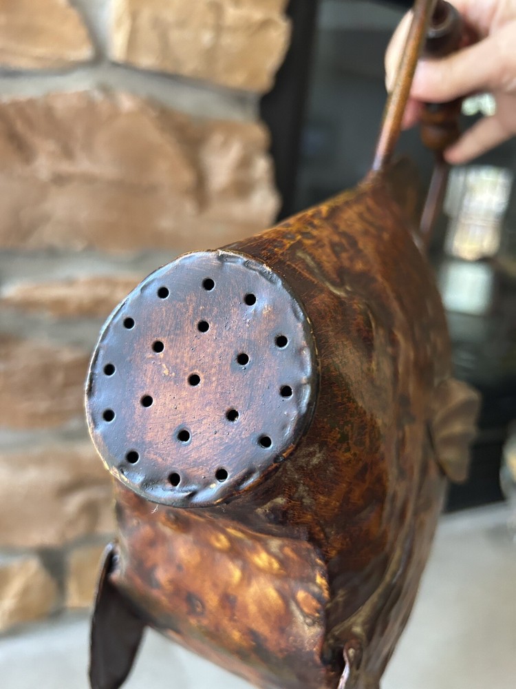 Whimsical Fish Watering Can Art
