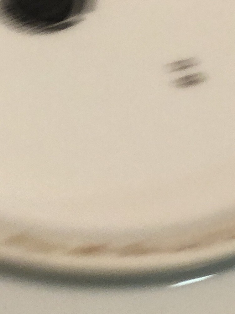HWC8 By HW Czech Germany Covered Vegetable Bowl