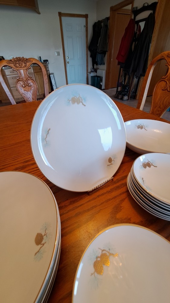 Fukagawa Arita Handpainted 41 Piece Grouping Dinnerware Pine Cone Pattern #904