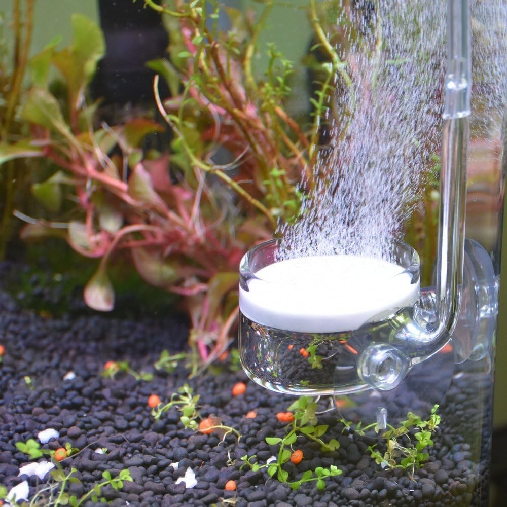 Efficient Ceramic CO2 Diffuser with Suction Cups for 30-50 Gallon Tanks