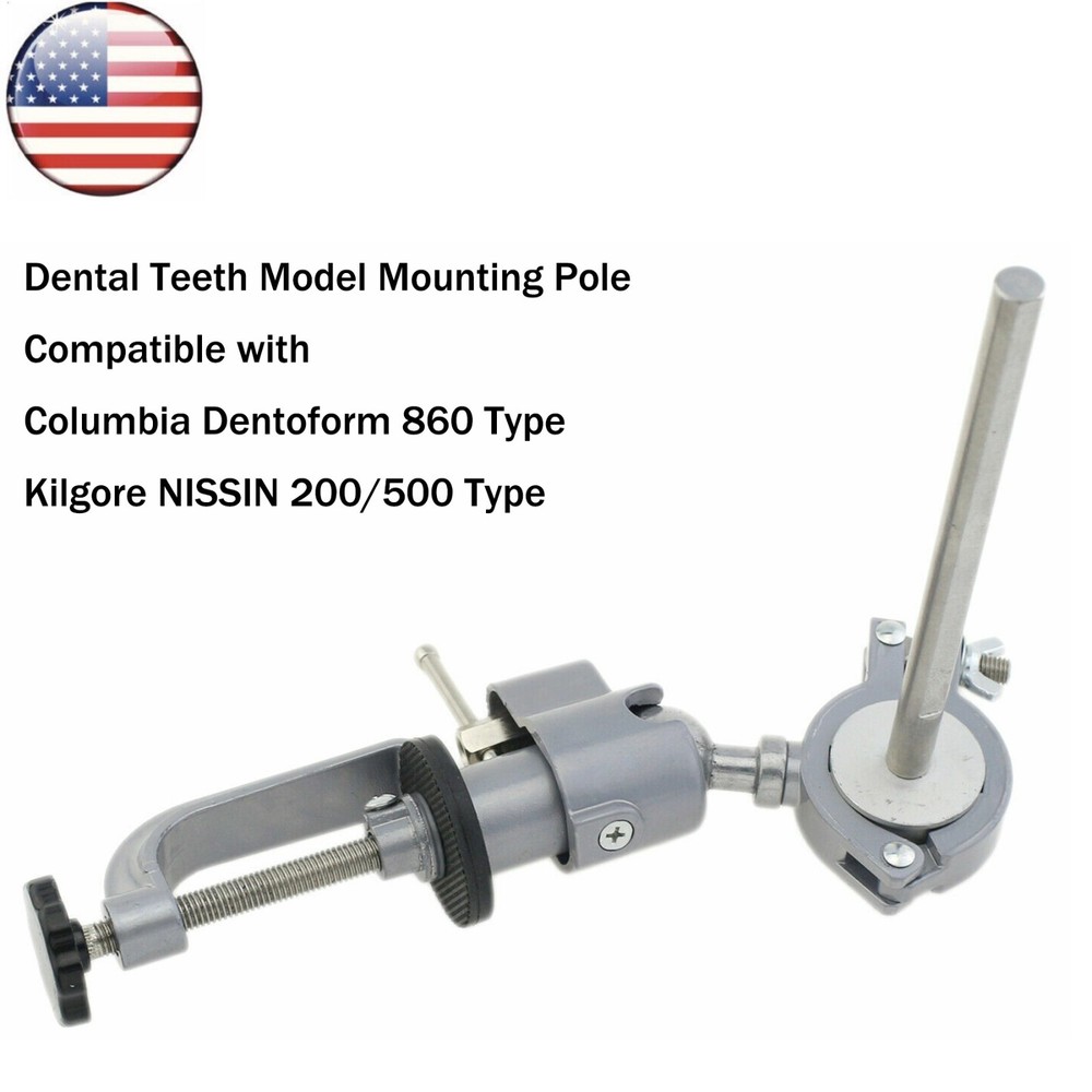 US Columbia Dentoform 860 Type Dental Typodont 32Pcs Teeth Model & Mounting Pole