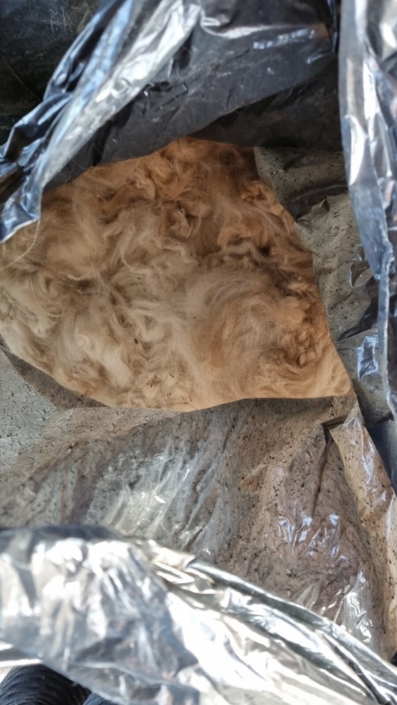 raw alpaca fiber