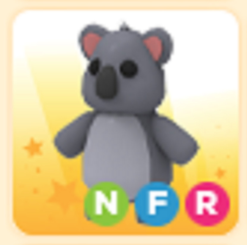 NFR Koala- Cheap & Trusted Store!!