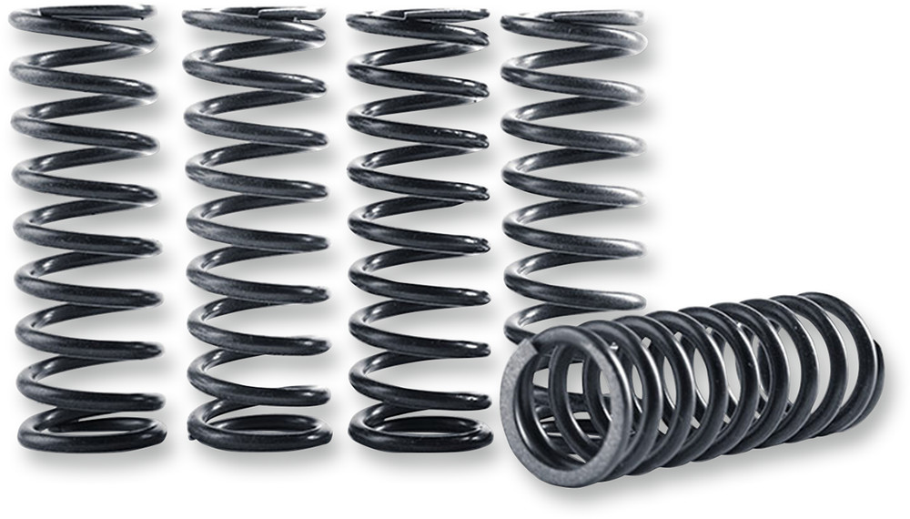 Hinson Racing - CS264-5-0409 - Clutch Spring Kit