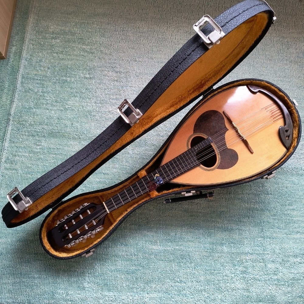 Mandolin M-30