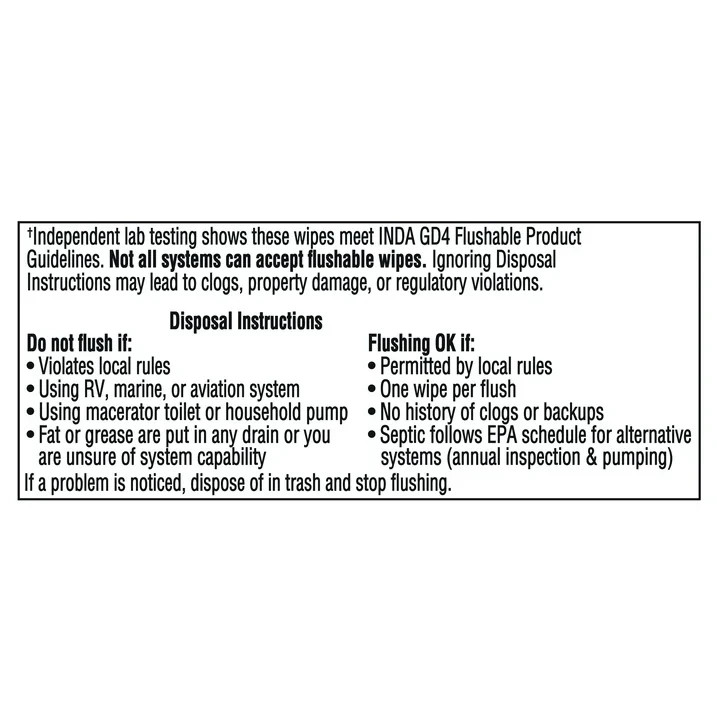 Equate Extra Large Flushable Wet Wipes, Cool Mint, 144 Ct (3 Pack)