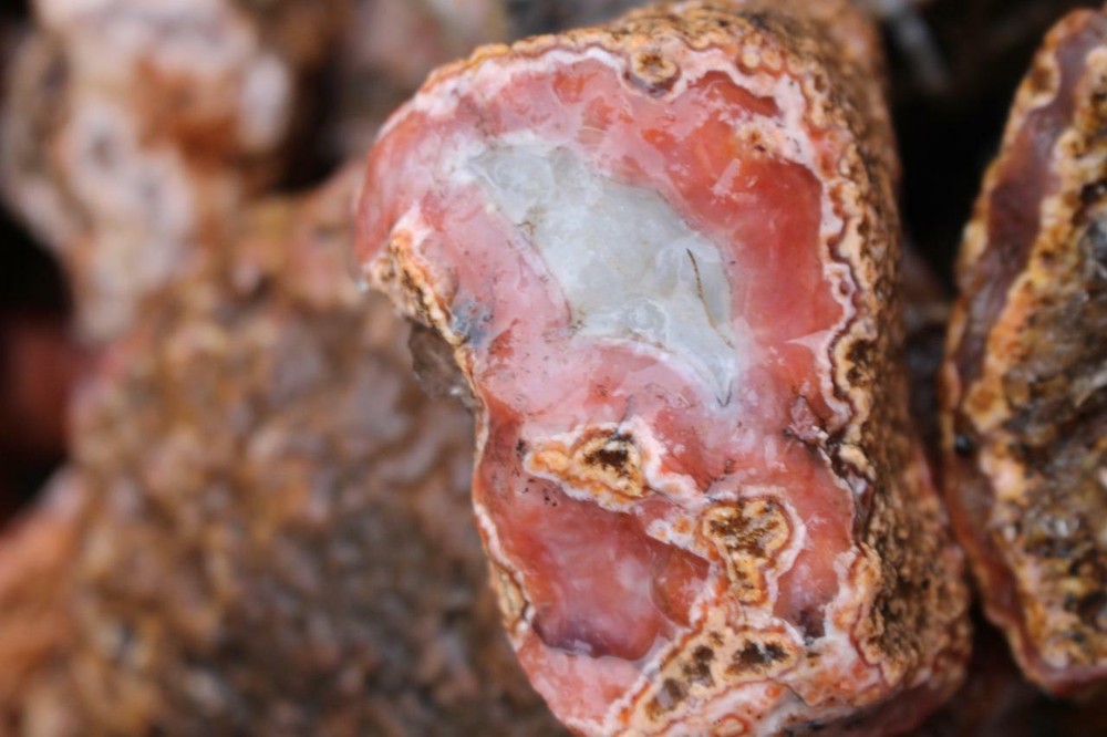 Morocco Berber Agate 5 lb Random pull rough lot
