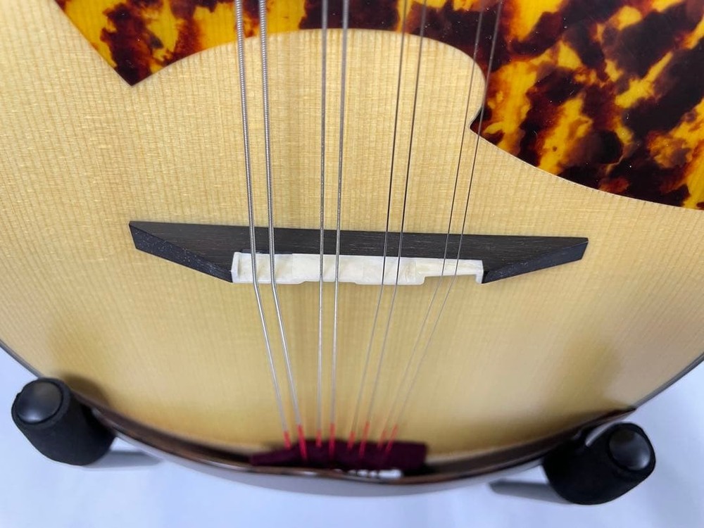 ASTURIAS MS-1bis mandolin with case