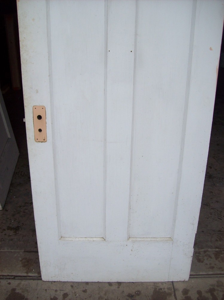Single painted vertical panel door (D j)