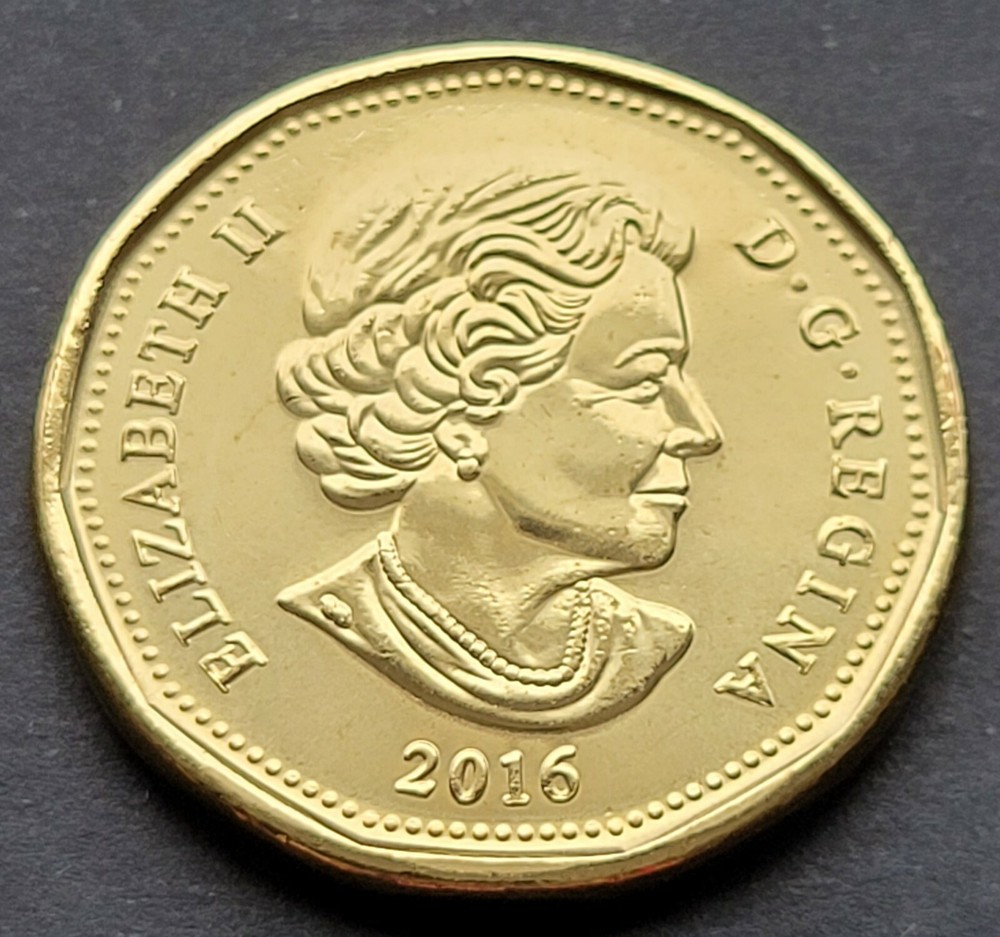 *** CANADA  LOONIE  2016  *** FROM  MINT  ROLL  ***