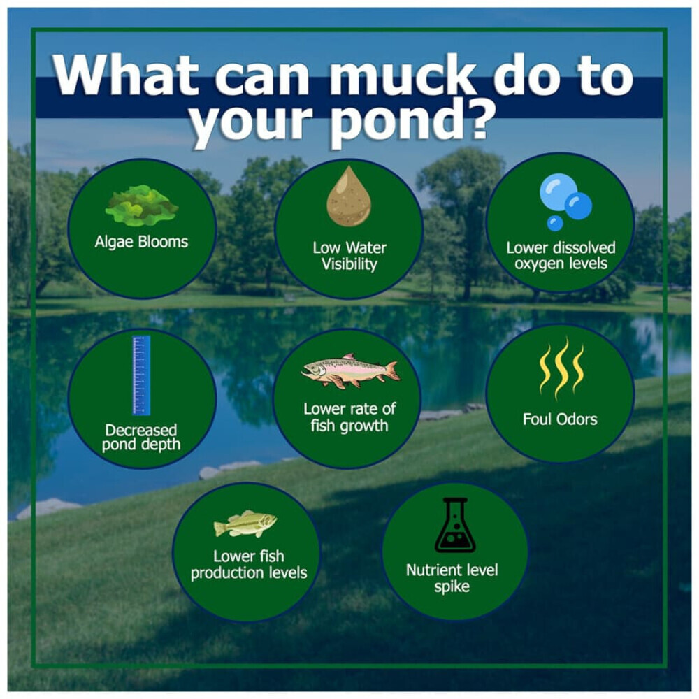 Muck Remover Pellets 10 lbs