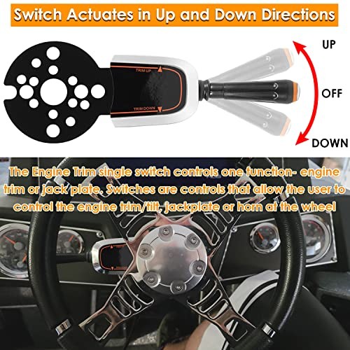 Bezel Control Switch, Blinker Trim Control System Single Function - Engine