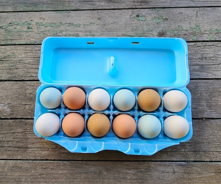 Styrofoam Bulk Egg Cartons (50 pack)  Blue