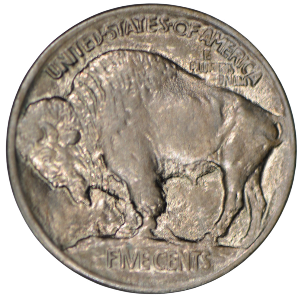 1913 Type 1 Buffalo Nickel ~ Uncirculated