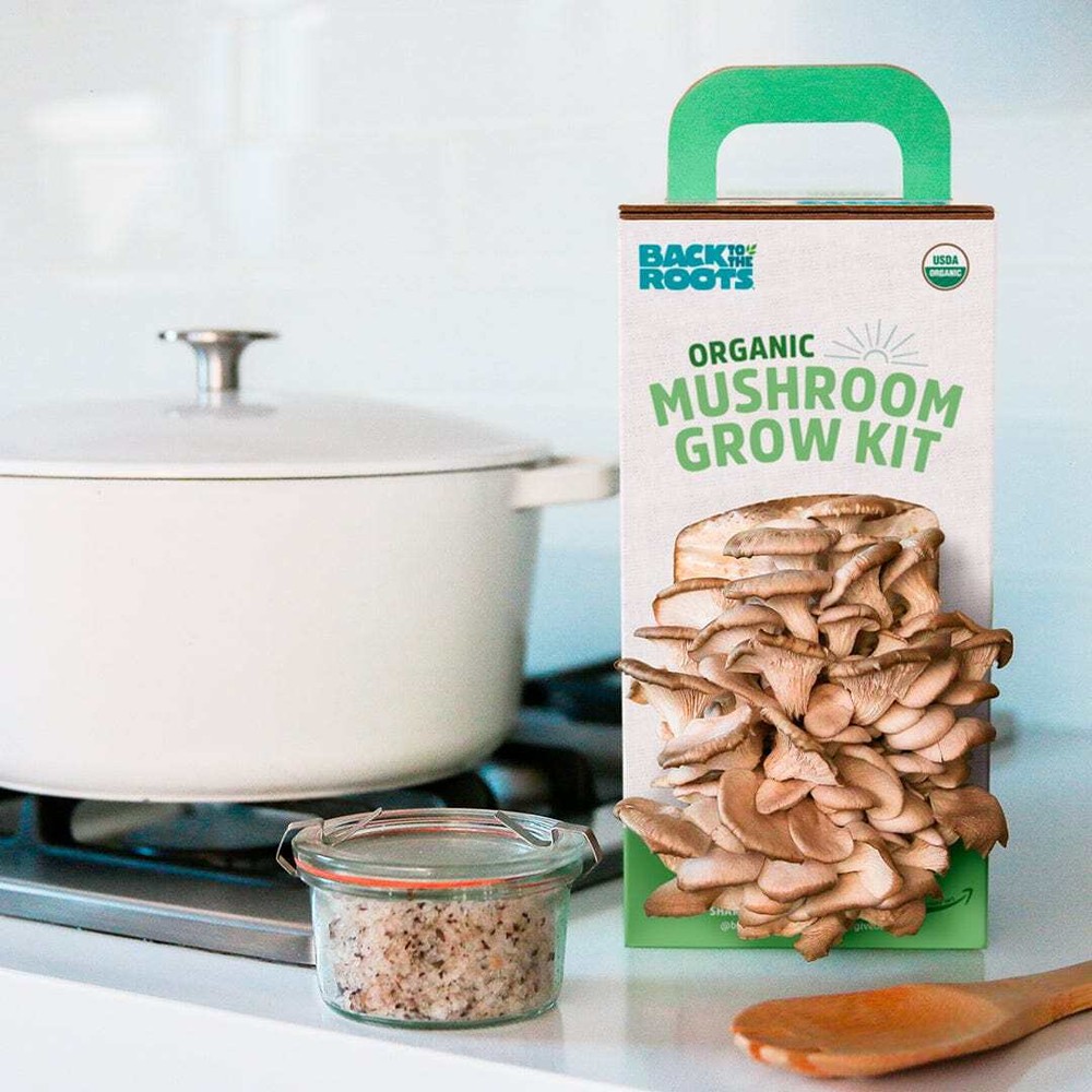 Organic Mushroom Grow Kit, Variety 2-Pack