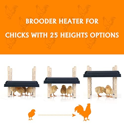 Brooder Heater for Chicks: Chick Brooder Heating Plate with Easy- Black-10x10