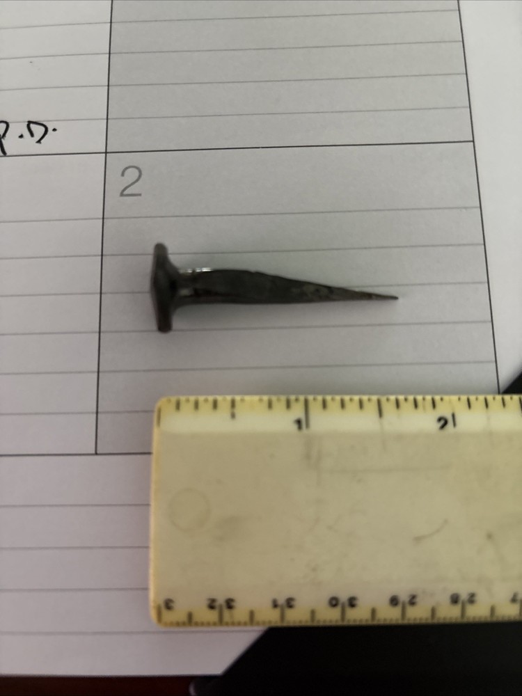 2” Iron Nail