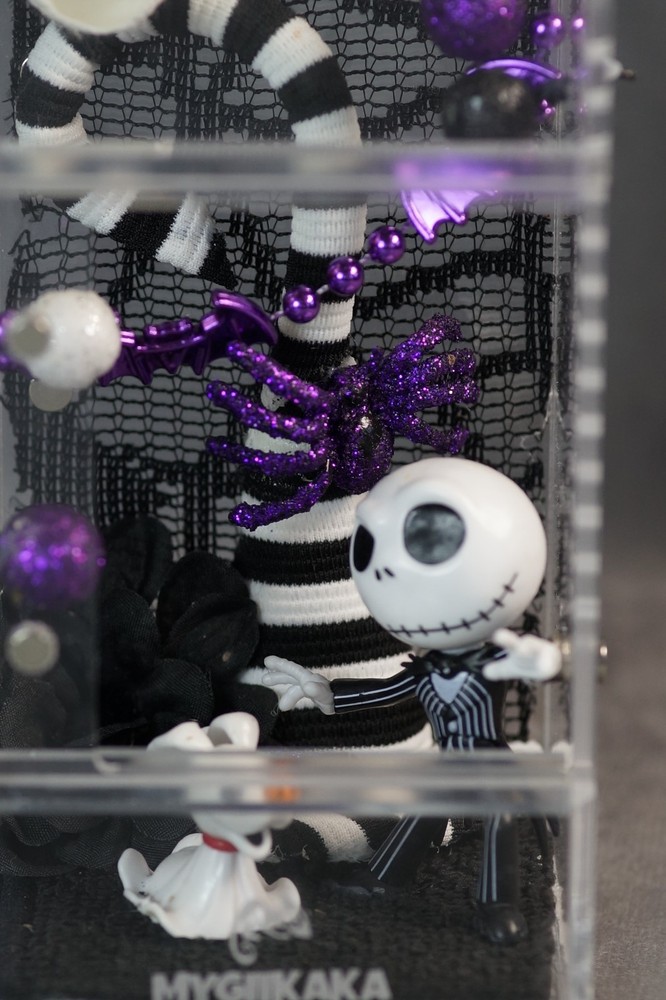 DIY Jumping Spider Enclosure – Custom Decor – Acrylic Case – Needs Sealing