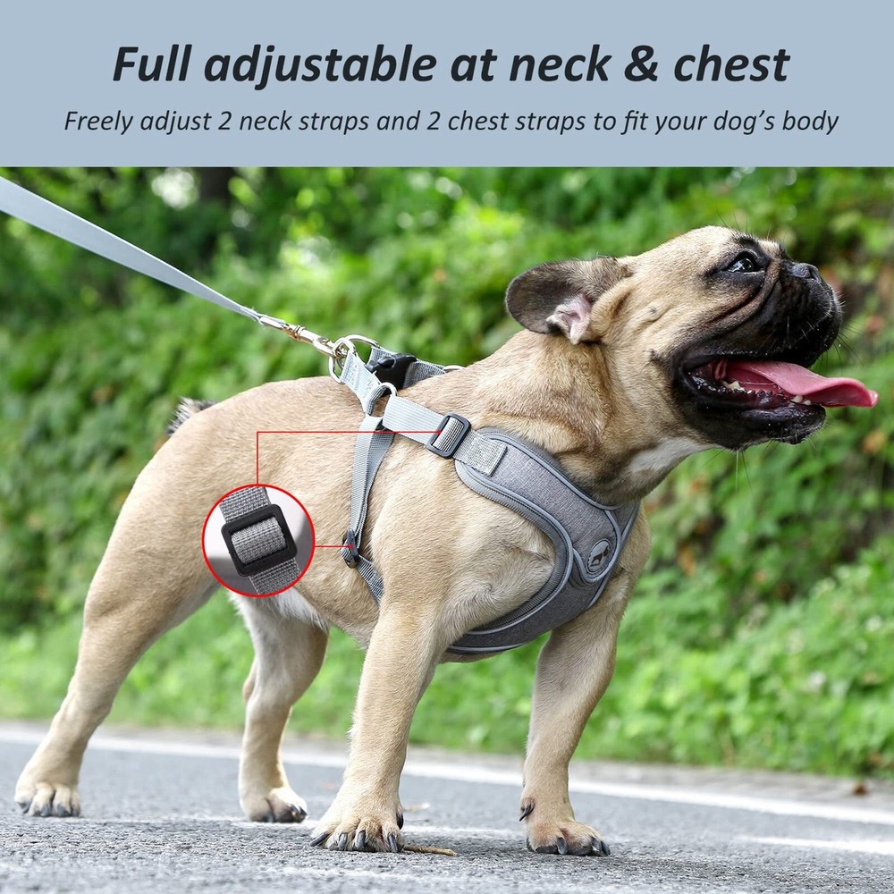 Small Gray Dog Harness Leash Set Reflective Strips Adjustable Step in Vest