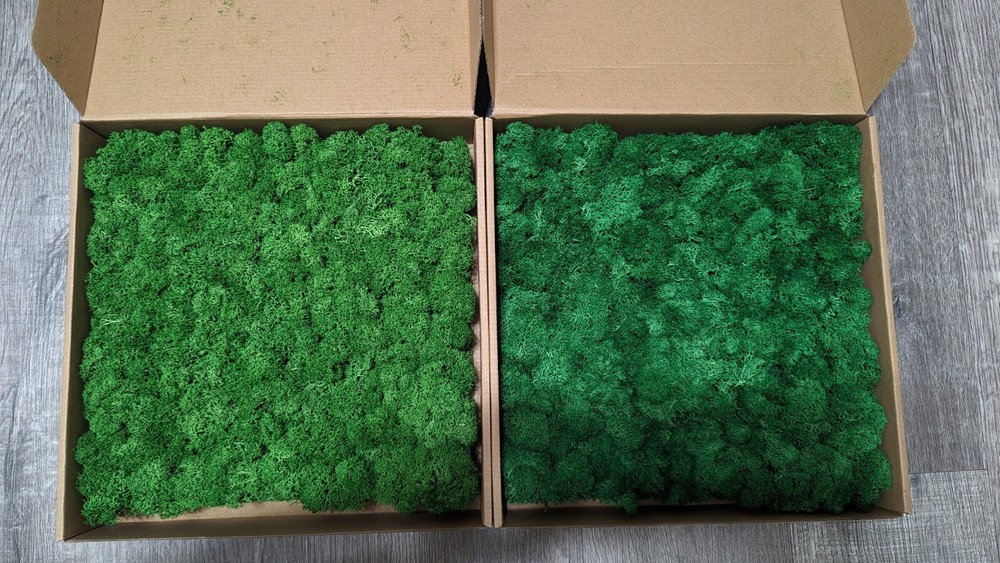 Preserved Moss