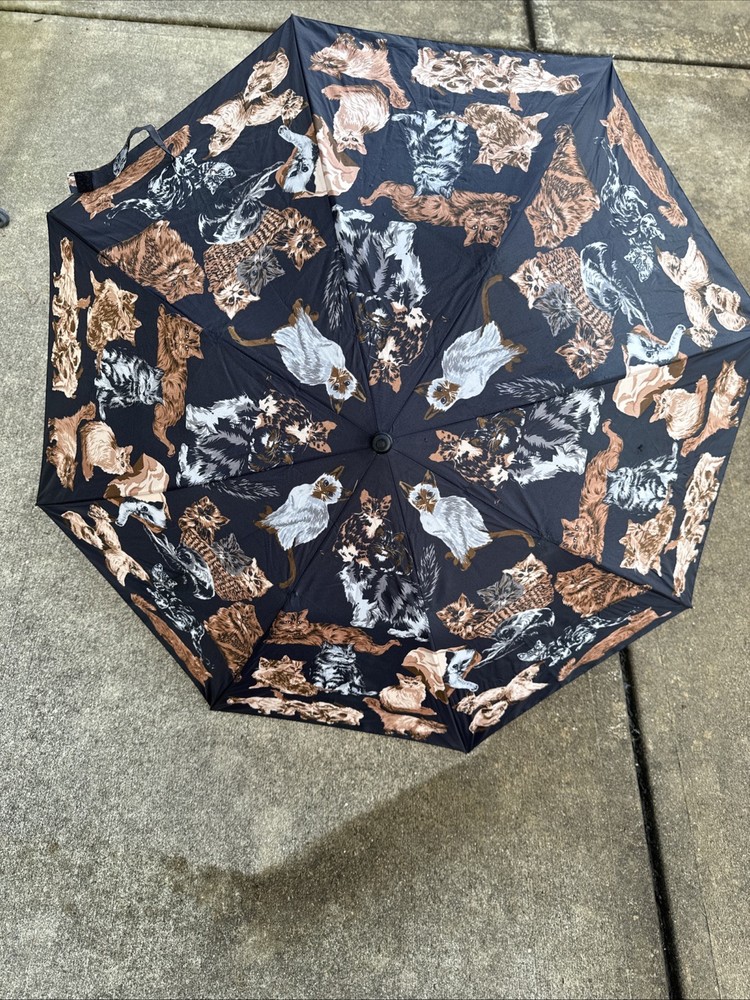 Cat Design Umbrella