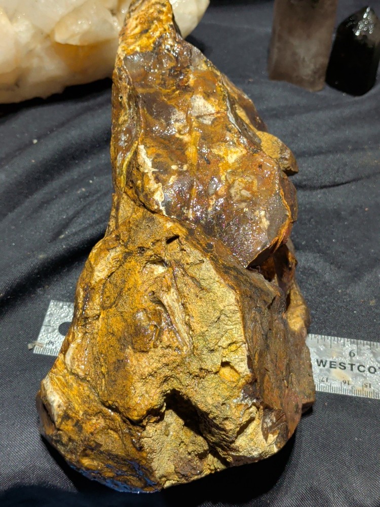 Biggs Jasper Specimen w/ Rolling Hills Patterns Natural Form (6lbs 10oz)