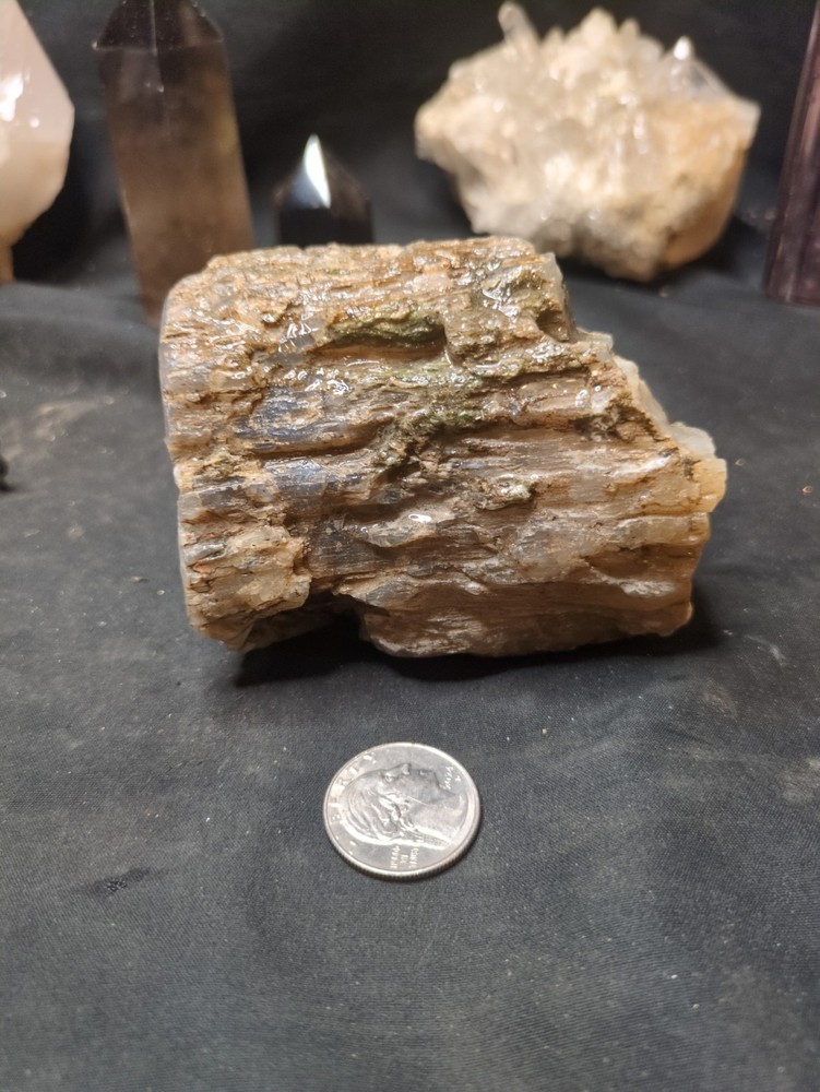 Pink Limb Cast Opalized w/ Moss Inclusions Polished on one End Specimen