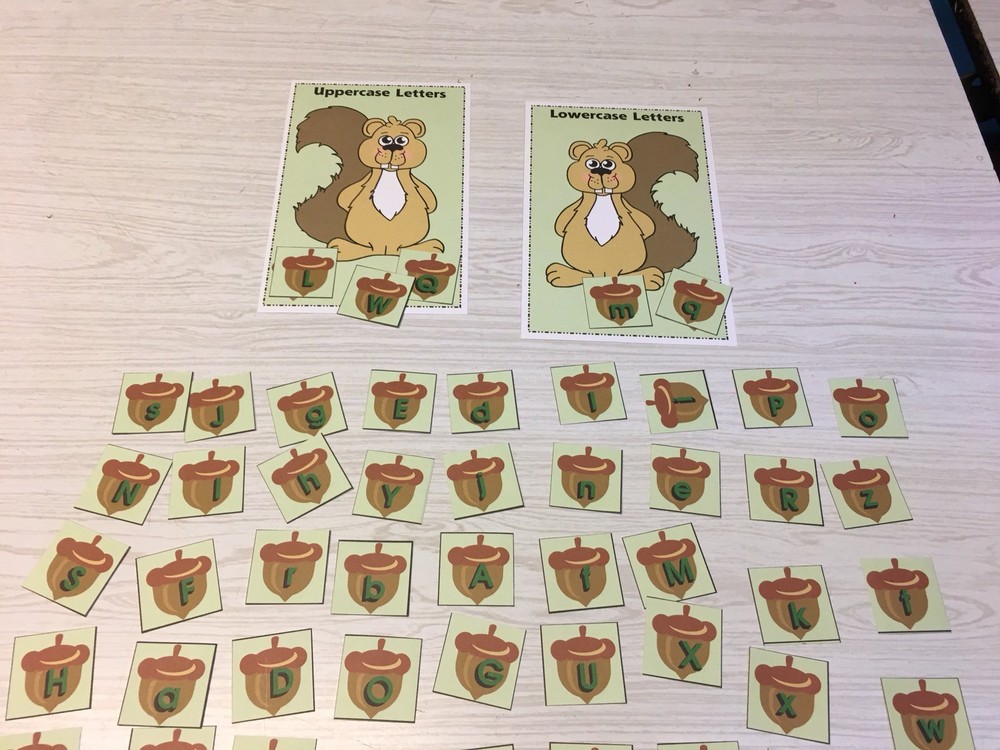 Upper And Lower Case Squirrel & Nut Sort -Laminated Activity Cards Set