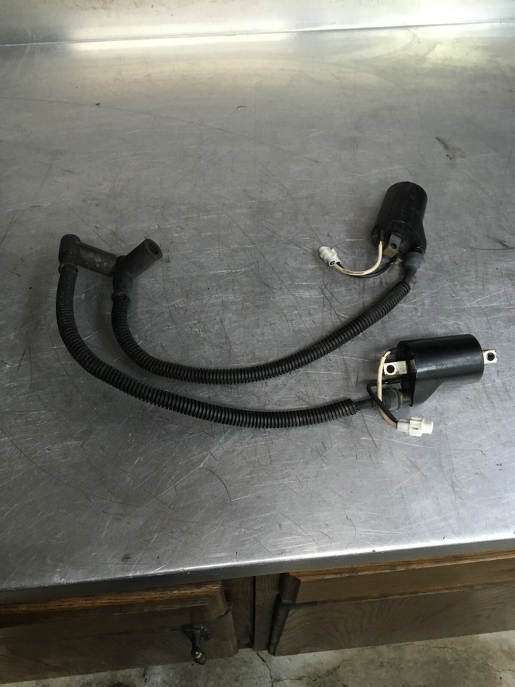 POLARIS DRAGON ASSAULT SWITCHBACK IQ 800 coils