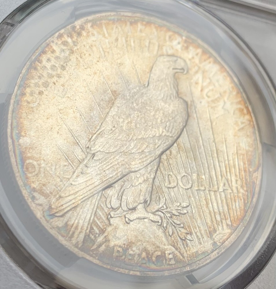 1925 PCGS/MS64 Monster Toned Peace Dollar