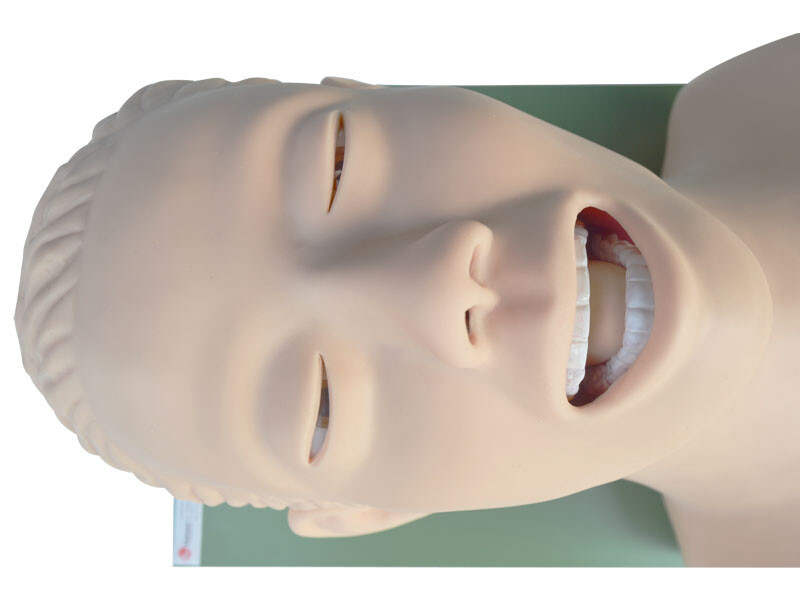 Airway Management Trainer Intubation Manikin Study Teaching Model for Training
