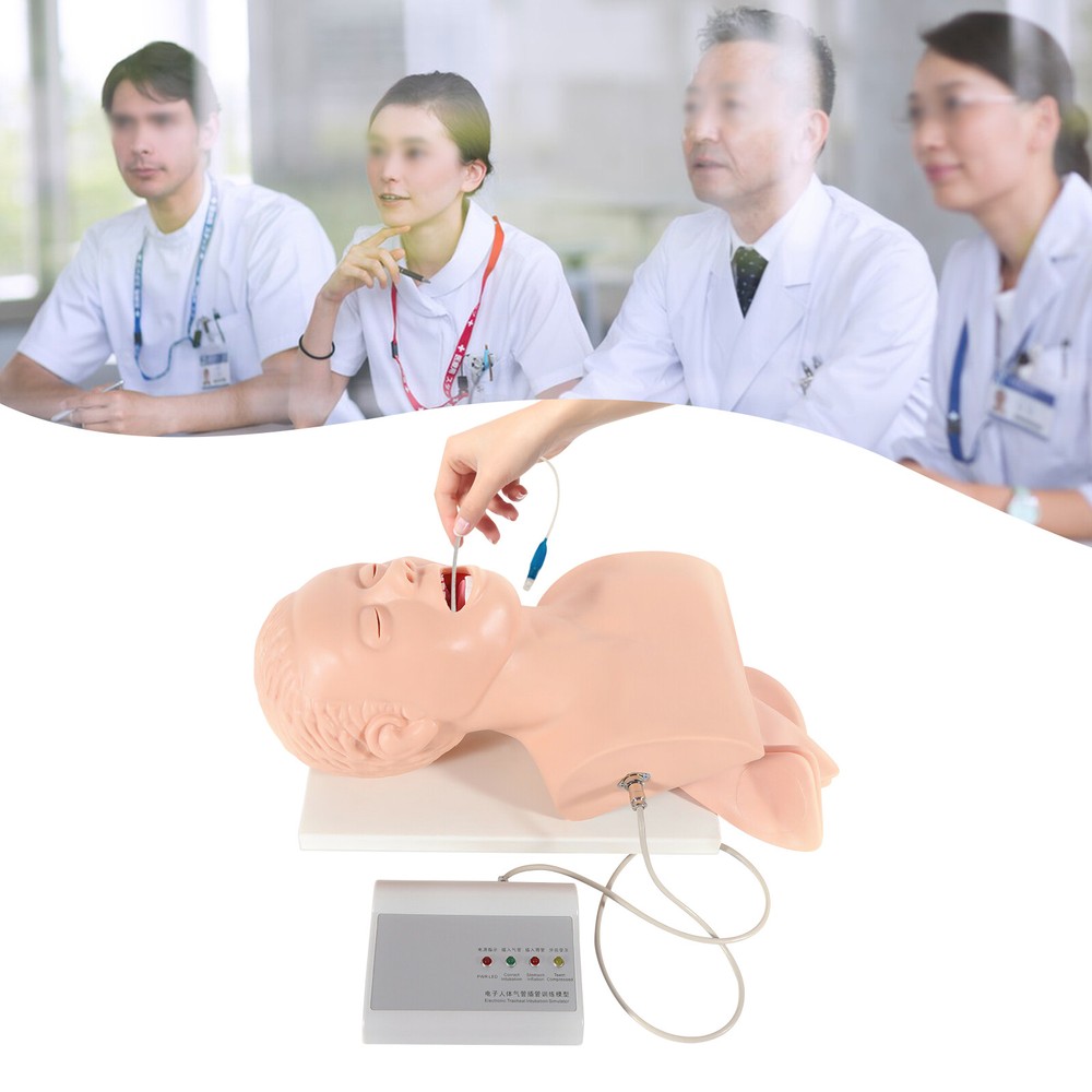 Intubation Manikin Study Teaching Simulator Airway Management Trainer Tool Model