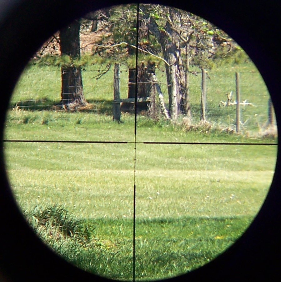 Burris Timberline 4.5-14x32mm Rifle Scope *Nice*