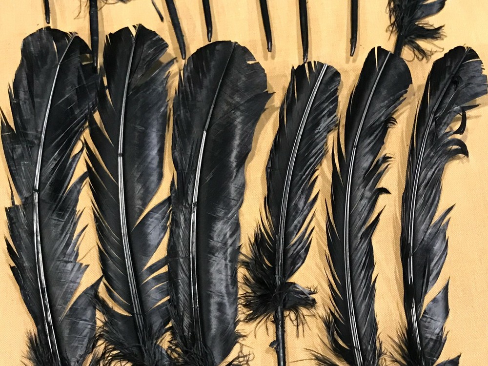Dyed Black Turkey Feathers, 1/2 Pound, #2 Quality