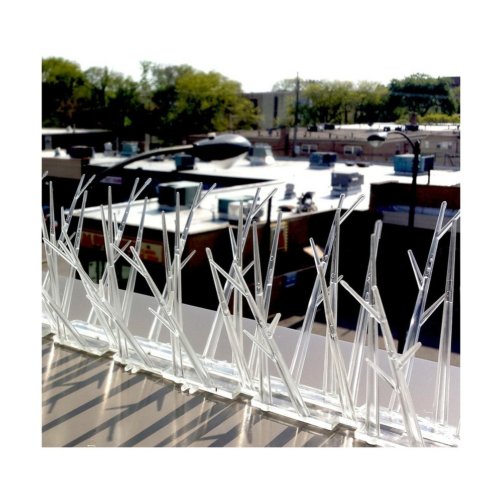 Bird-X Plastic Polycarbonate Bird Spikes Kit Adhesive Glue Covers 10ft Coverage
