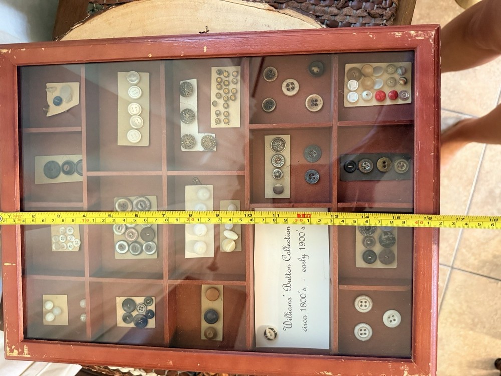 Williams Antique Original Button Collection Assorted Multicolor Round Pre-1930