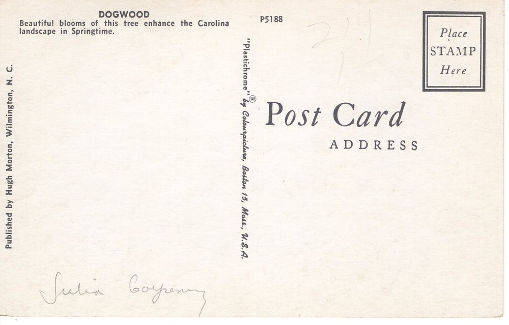 DOGWOOD - PC4828