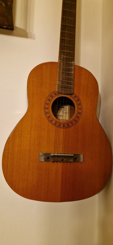Vintage Guitar