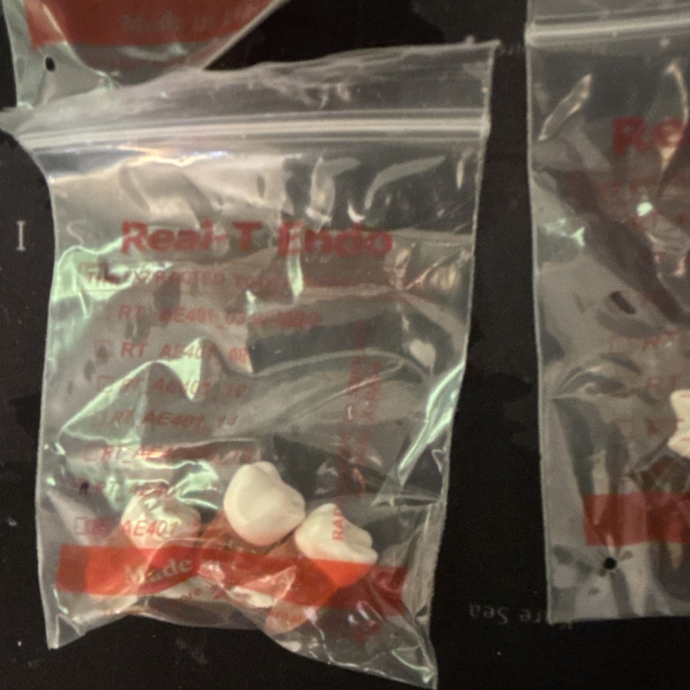 Real-T Endo Typodont Teeth RT_AE401_08 Dental Training Endodontics