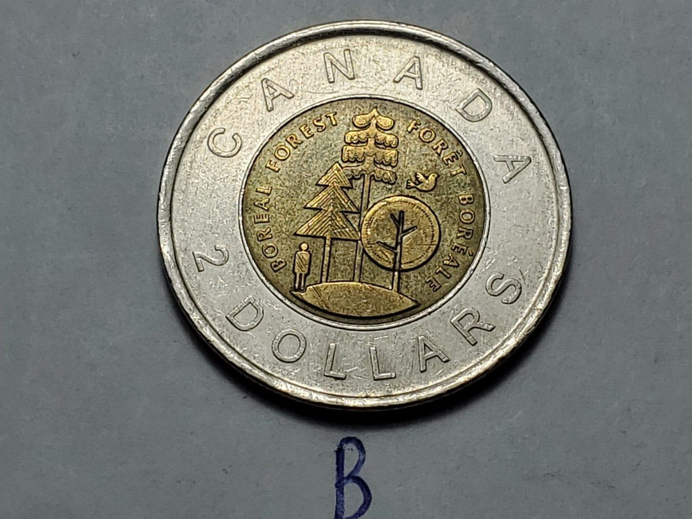 2011 Boreal Forest CANADA 2 Dollar  Toonie Coin b