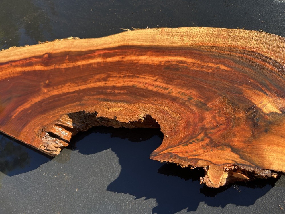 Hawaiian Milo Board #14043