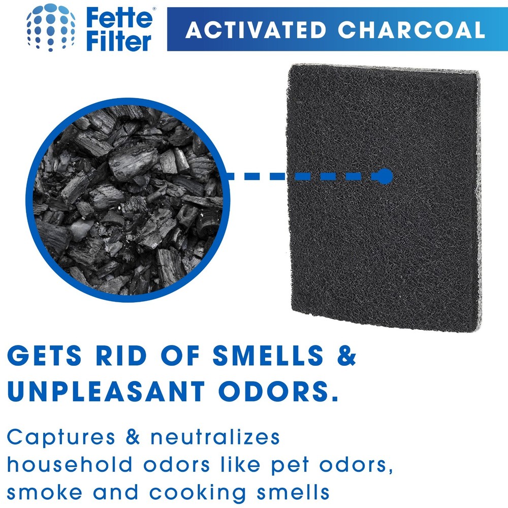 Filter Compatible with GermGuardian FLT200 (FILTERQ)