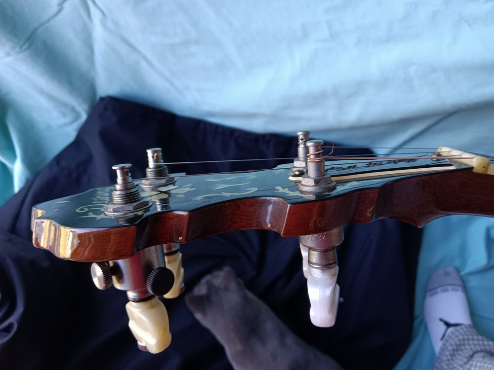 Deering Golden Era Banjo