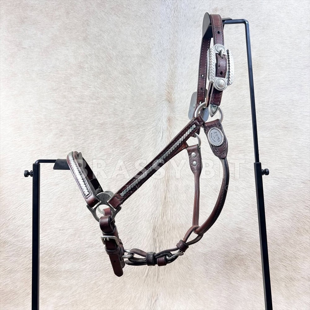 Circle Y Large Yearling Silver Show Halter