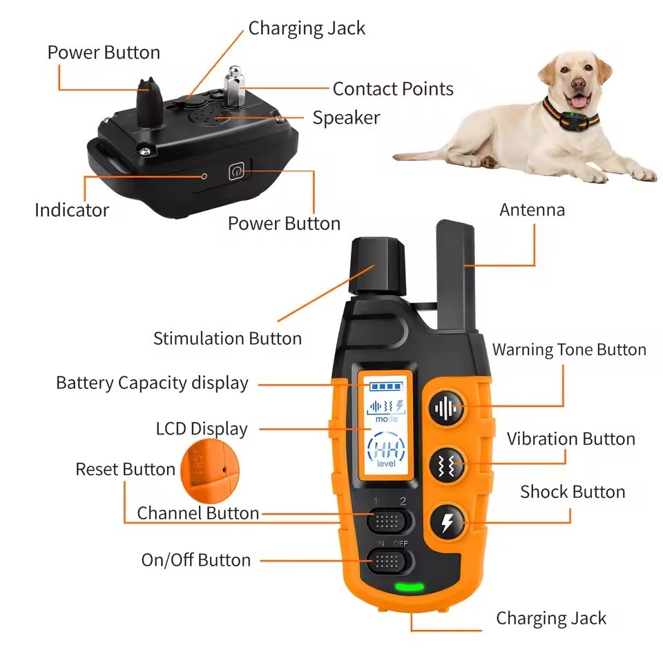 Remote Dog Training Collars: Control, Correct, Communicate"Training Solutions