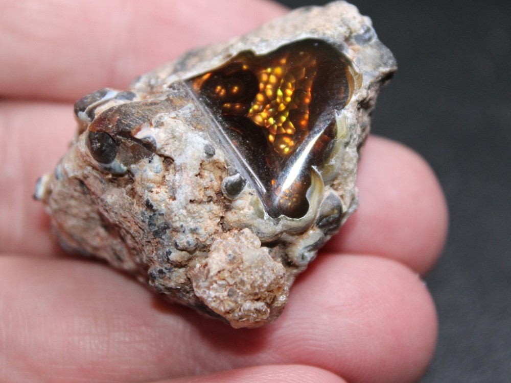 Windowed Fire Agate Rough For Lapidary Cutting BRIGHT COLORS