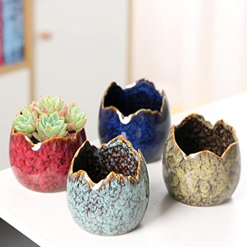 Succulent Pots with Drainage Half Dragon Egg Shell Design Ceramic Dragon Egg-1